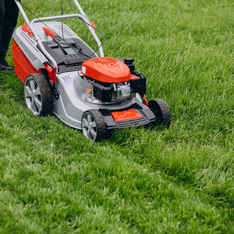 Man cutting grass with lawn mover in the back yard